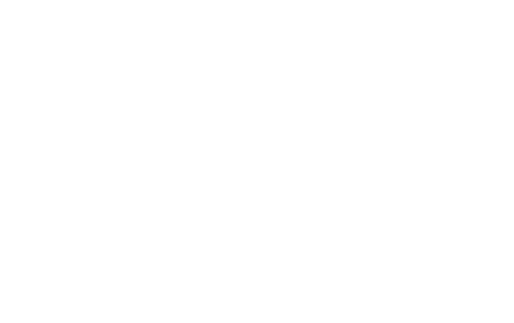 Breyer_Partner-Logos-07